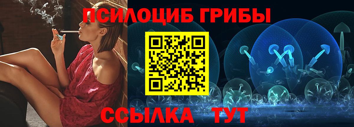 Псилоцибиновые грибы Psilocybe  где купить   Альметьевск  Вход с VPN 